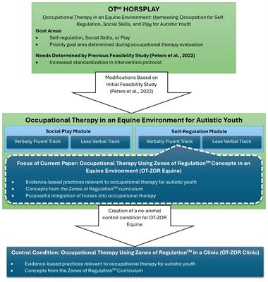 The feasibility of occupational therapy using Zones of Regulation™ Concepts in an equine environment